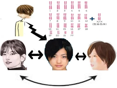 よちと・さてと・今はちと