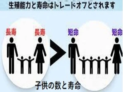 子孫繁栄と寿命は反比例する