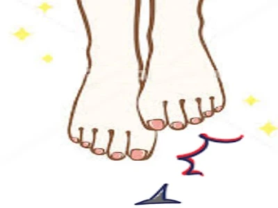 繊細な六つの感覚