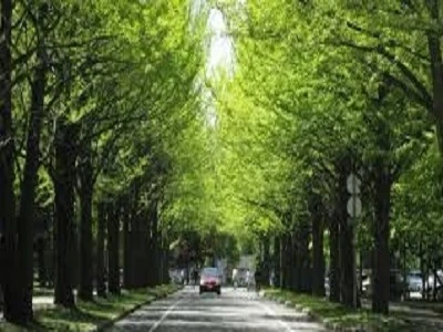 北大法科大学院志望理由書